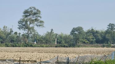 কুড়িগ্রাম.jpg