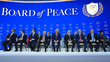 board_of_peace_22.jpg