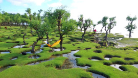 নিদ্রার চর