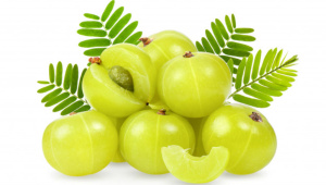 Gooseberry