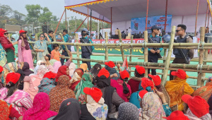tariq at barishal