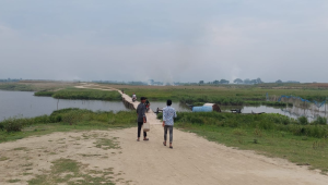 Oil Kushtia