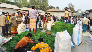 jamalpur