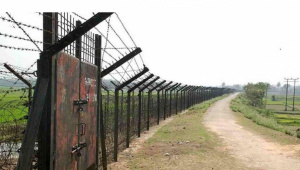 border-web_0.jpg