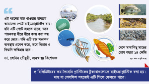plastic_and_fish-01.jpg