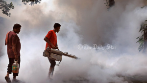 dengue_prevention.jpg