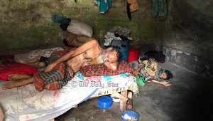dengue_patients_copy.jpg