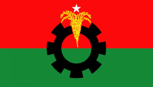 bnp.jpg