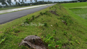 tista_project_15oct24.jpg