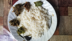 kanjir_vat.jpg