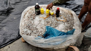 sundorban_fishing_29aug25.jpg