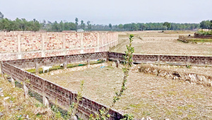 crop_land.jpg