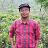 রবিউল হাসান